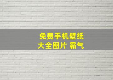 免费手机壁纸大全图片 霸气